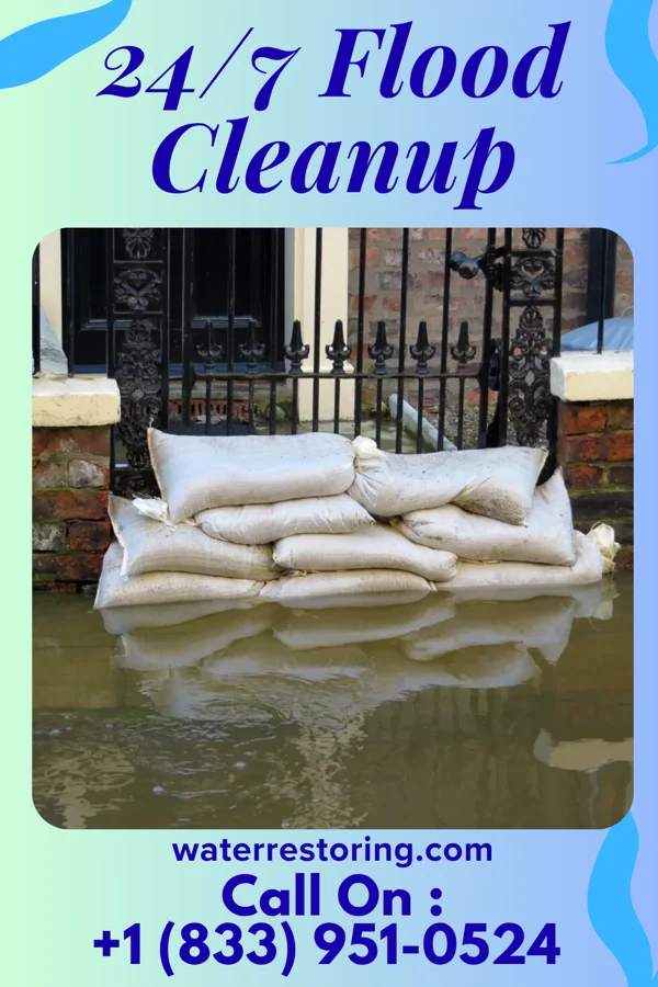 24/7 Flood Cleanup in Silver Grove, KY