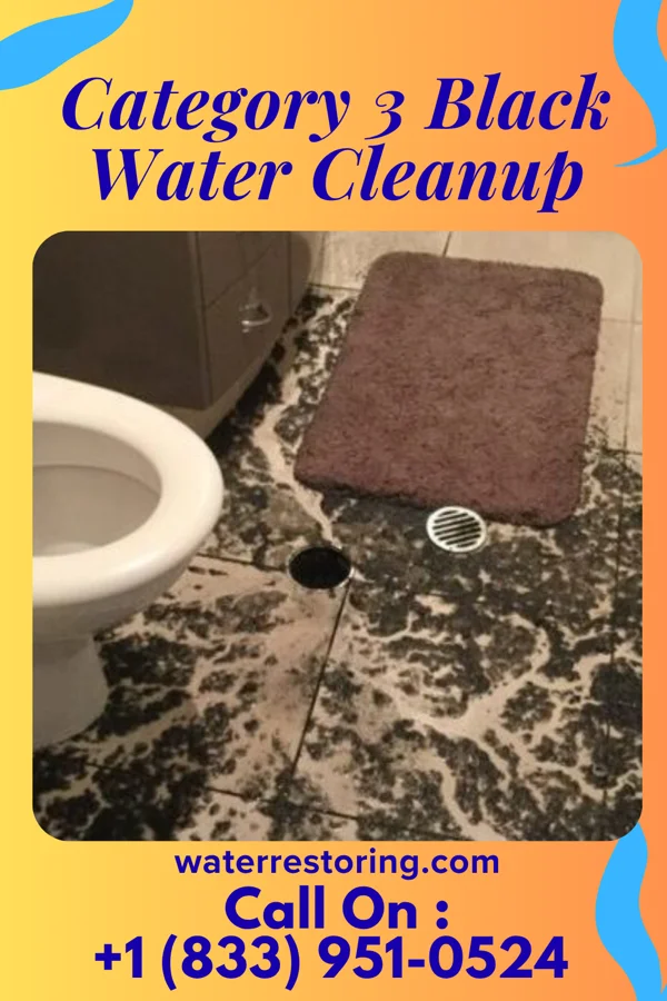 Category 3 Black Water Cleanup in Silver Grove, KY