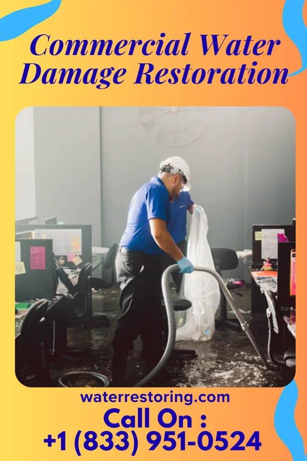 Commercial Water Damage Restoration in Silver Grove, KY