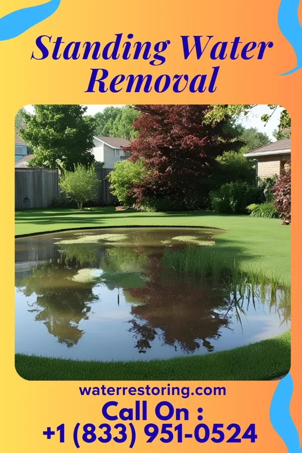 Standing Water Removal in Silver Grove, KY